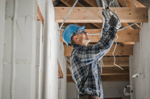 Best Best Electricians Near Me  in Gouldtown, NJ